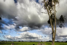 世预赛排行榜是如何影响球队晋级之路的？